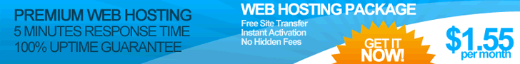 Professional Web Hosting